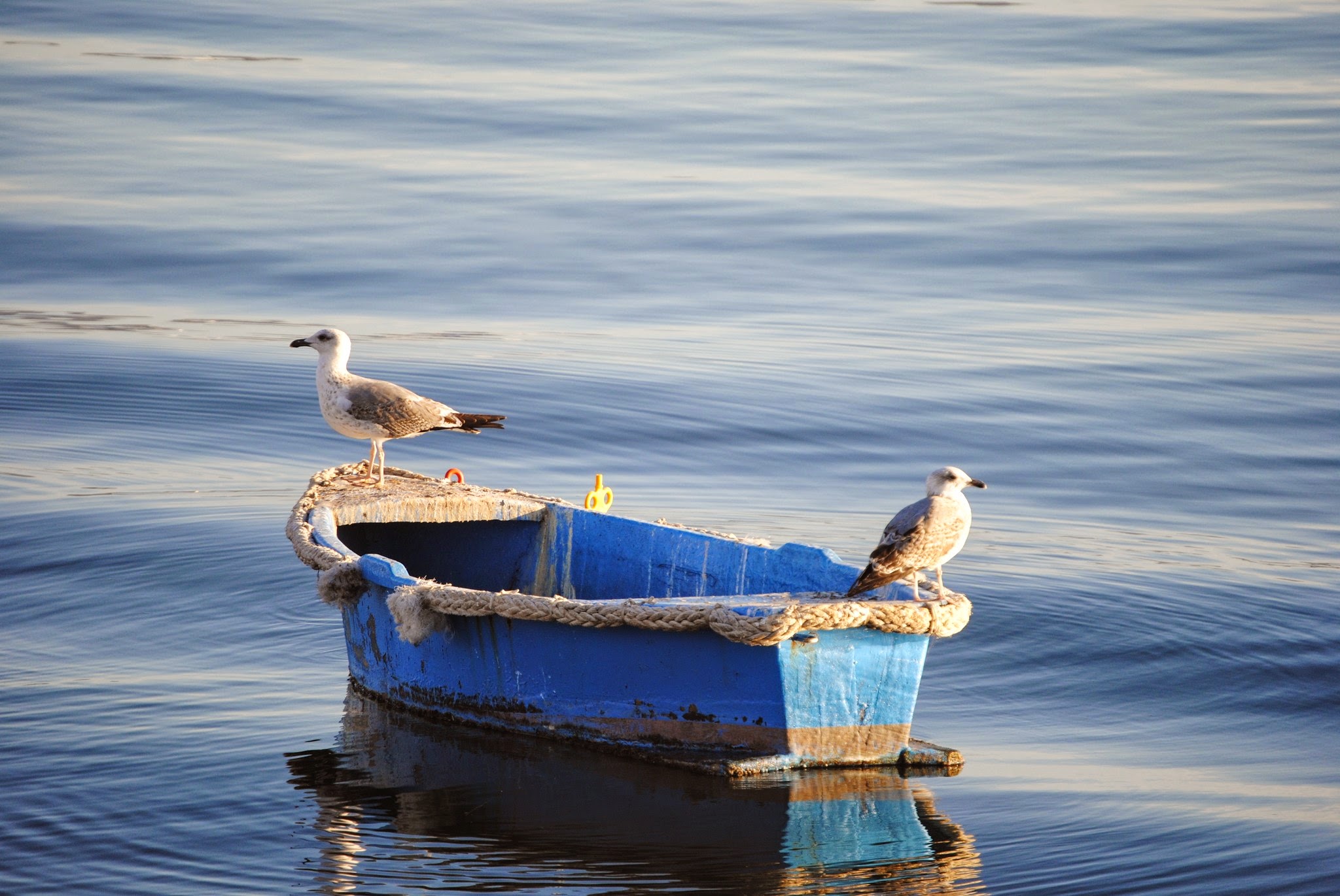 escursione in laguna a Sant'Antioco