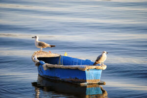 porto botte