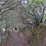 foresta demaniale monte arrubiu