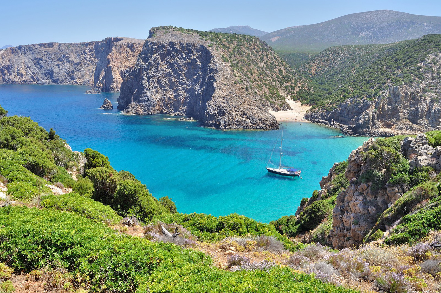 cala domestica punta topi vacca