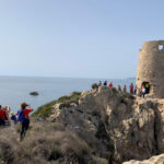 Torre del prezzemolo2