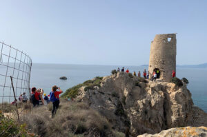 Torre del prezzemolo2