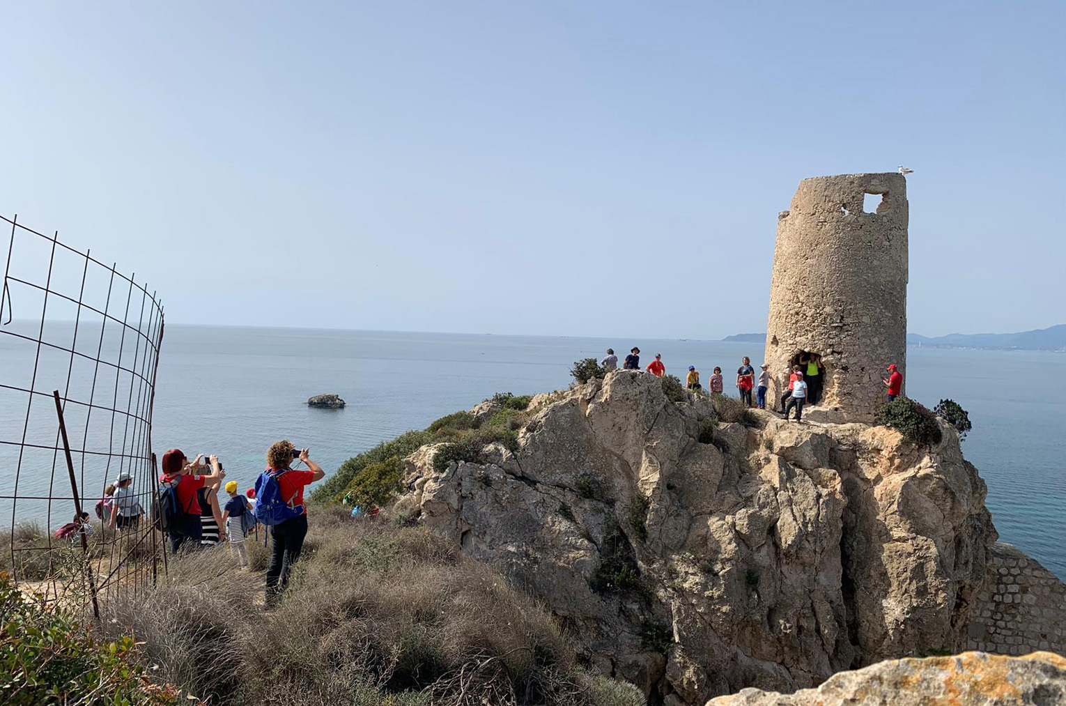 Torre del prezzemolo2