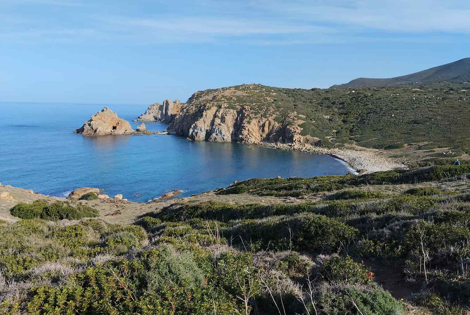 scivu