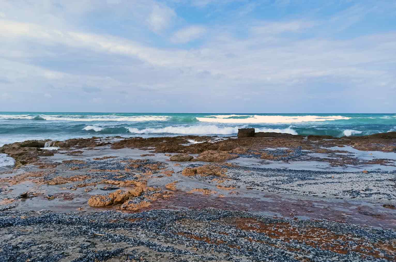 penisola sinis